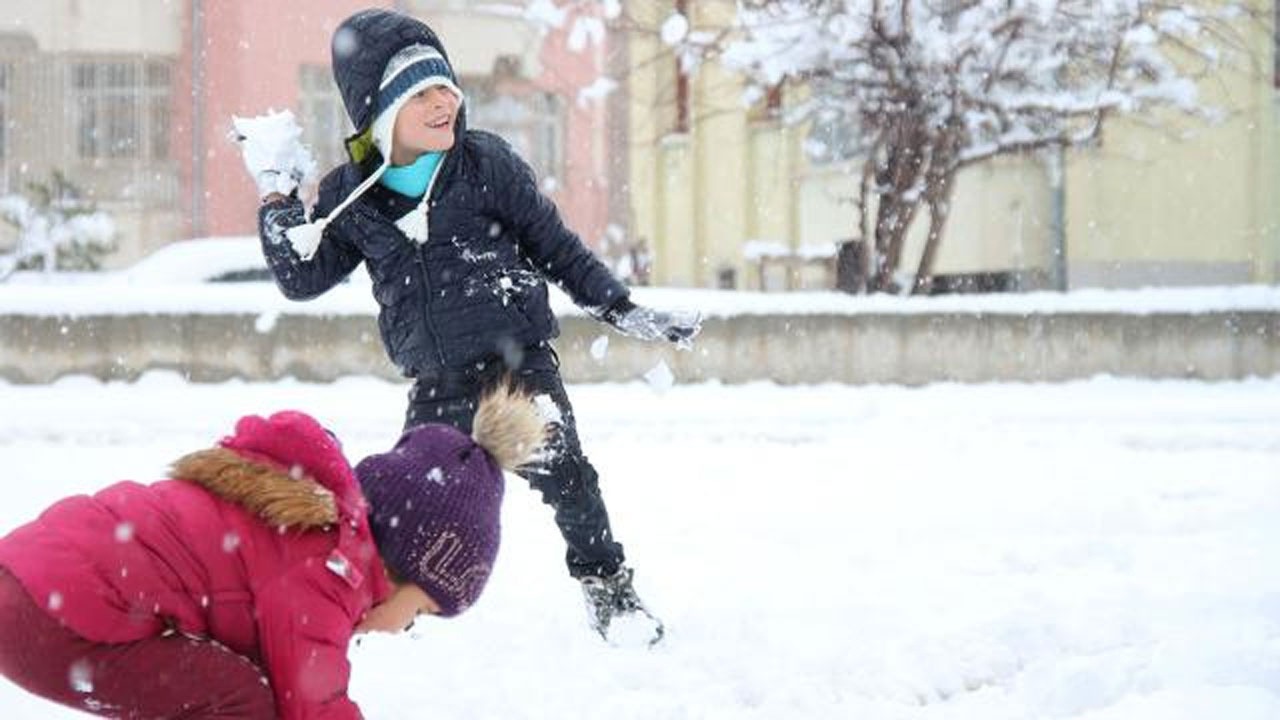 Van'da yoğun kar yağışı: Okullar tatil edildi