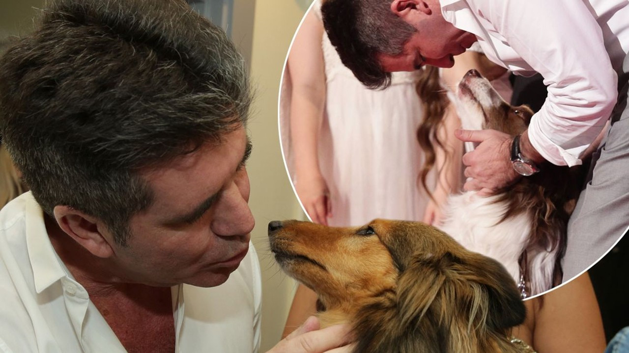 Simon Cowell köpeklere 20 milyon sterlin bırakacak