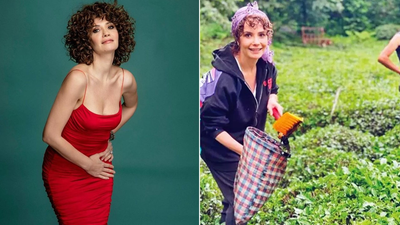 Songül Öden Artvin'de çay topladı