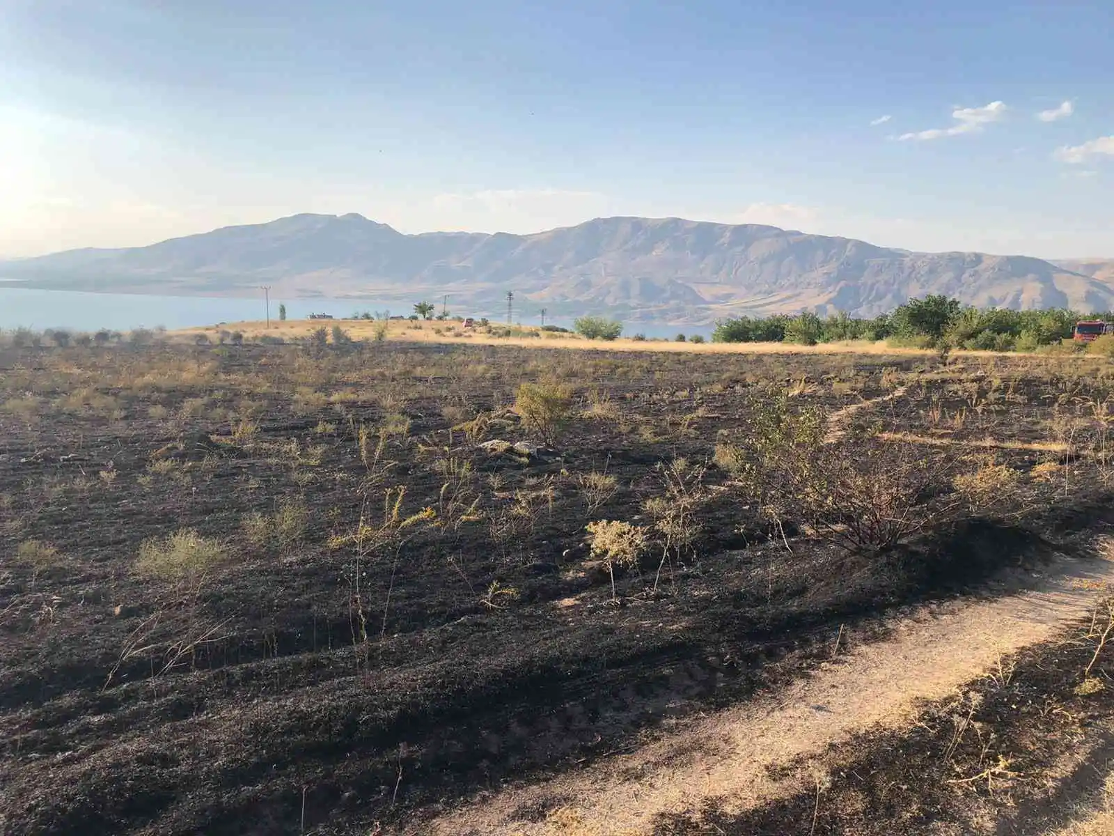 Malatya’da anız yangınında kayısı ağaçları zarar gördü