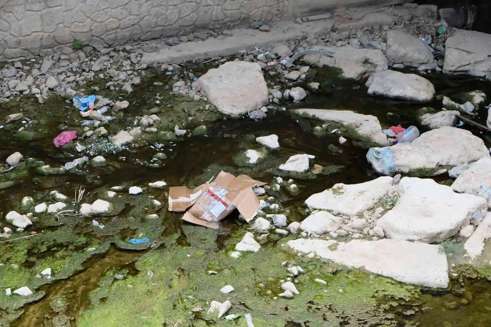 Suları çekilince Harşit Çayı çöplüğe döndü
