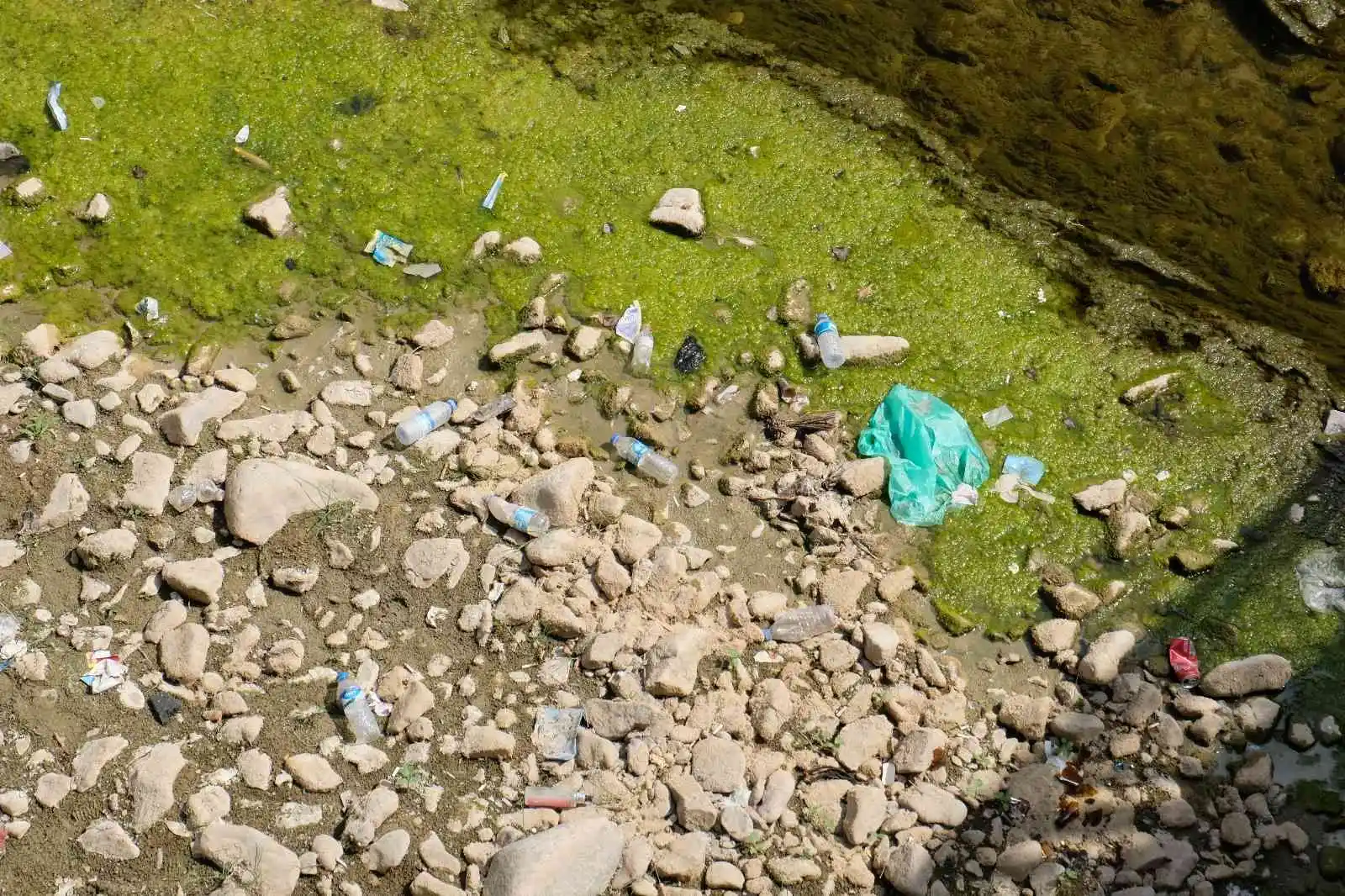 Suları çekilince Harşit Çayı çöplüğe döndü
