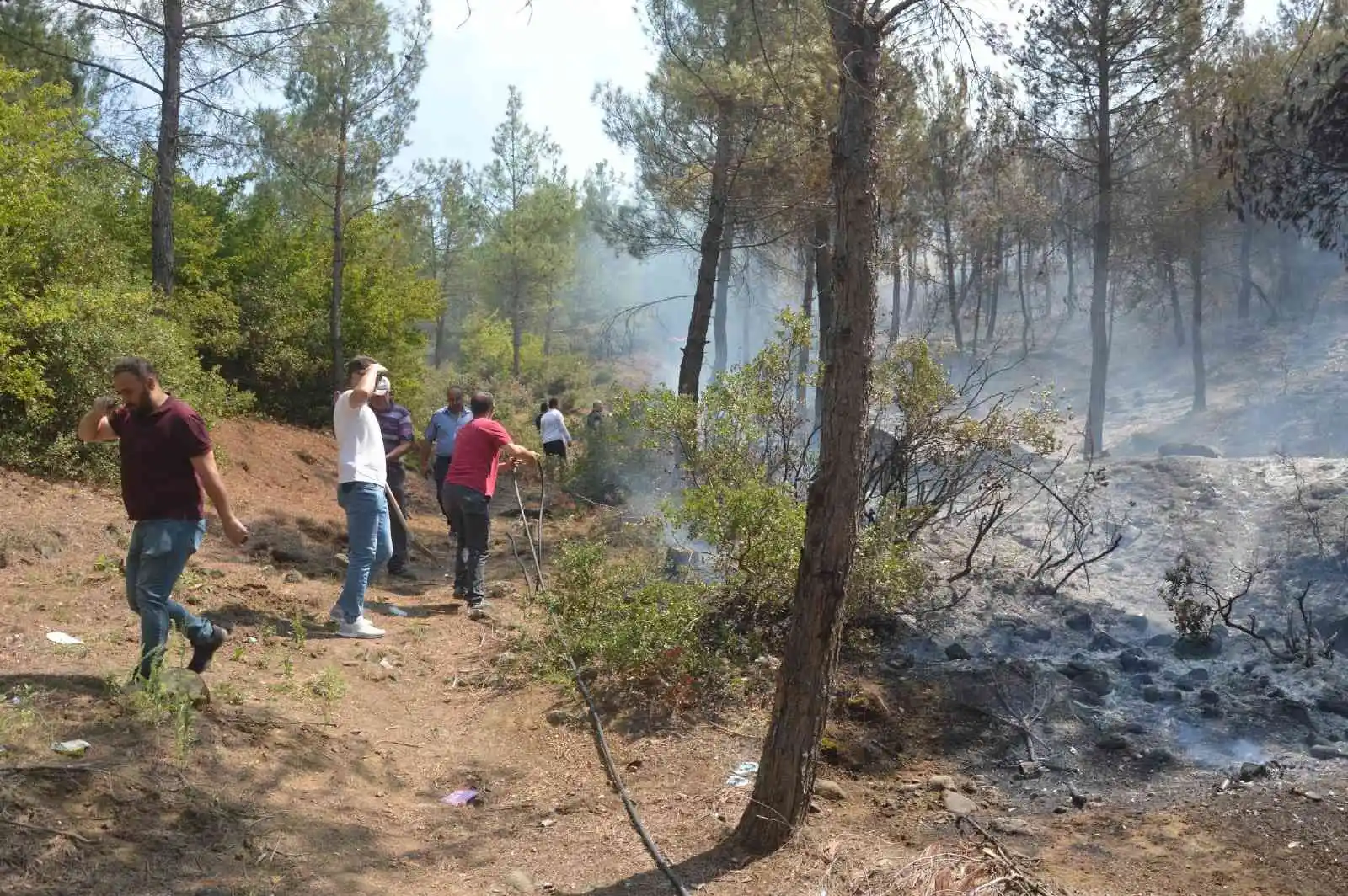 Tokat’taki orman yangınında 5 dönümlük alan zarar gördü
