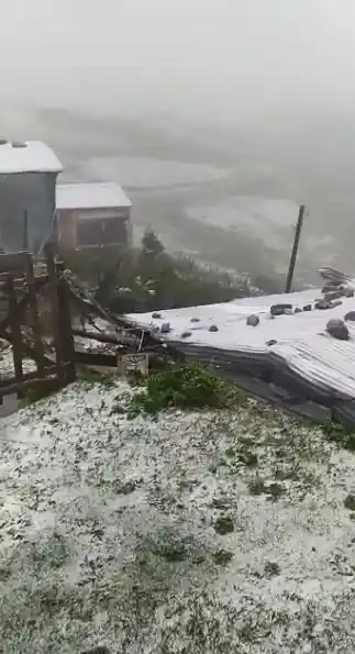 Artvin´in yüksek kesimlerinde kar yağışı etkili oldu