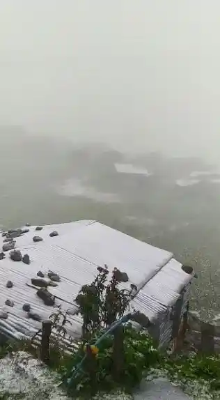 Artvin´in yüksek kesimlerinde kar yağışı etkili oldu