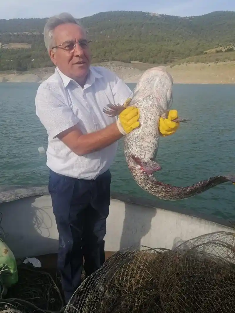 Aydın’da kaçak avcılığa geçit verilmiyor