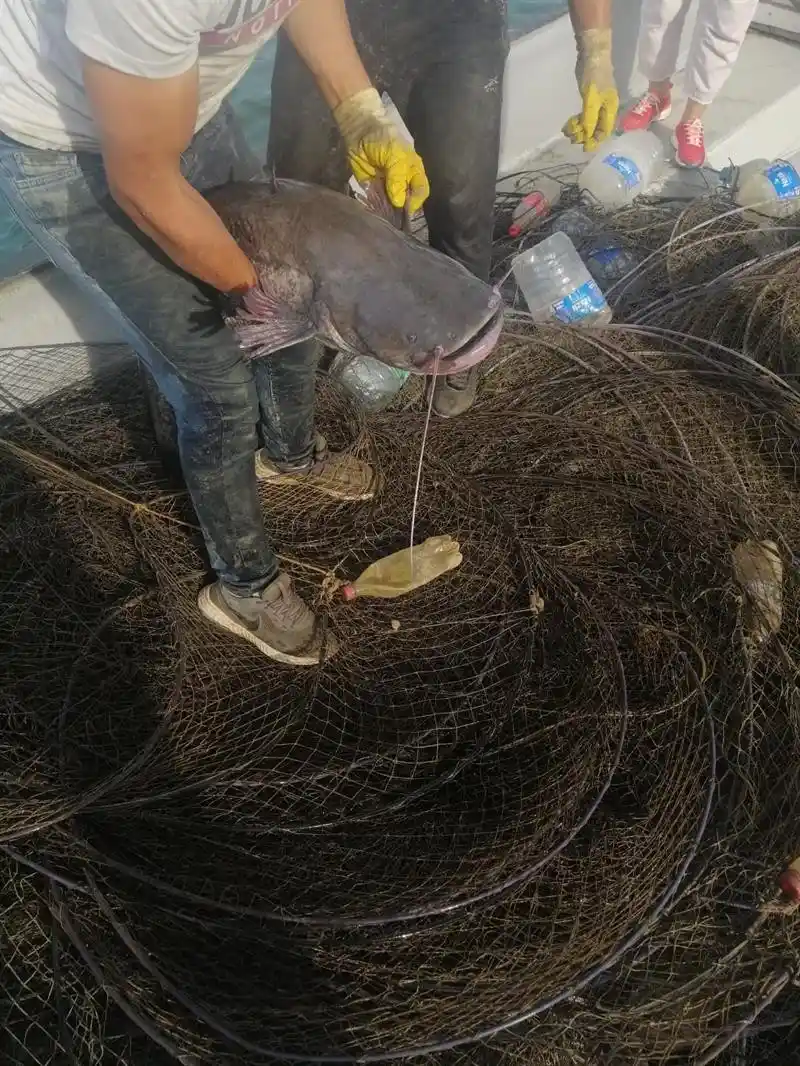 Aydın’da kaçak avcılığa geçit verilmiyor