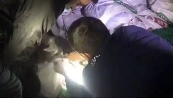 Ayvalık'ta "Denize Nefes" operasyonunda rekor sayıda deniz patlıcanı ele geçirildi