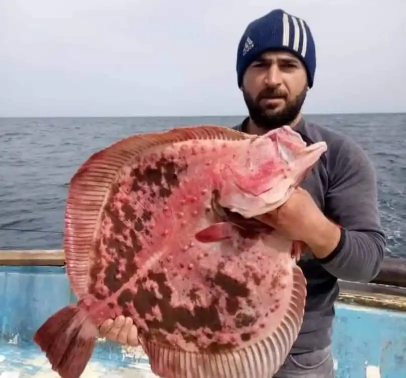 Balık tutmak için teknesiyle denize açılan balıkçı kayboldu