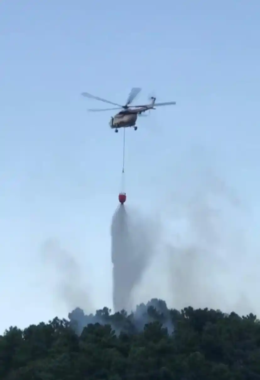 Beykoz'da korkutan orman yangını
