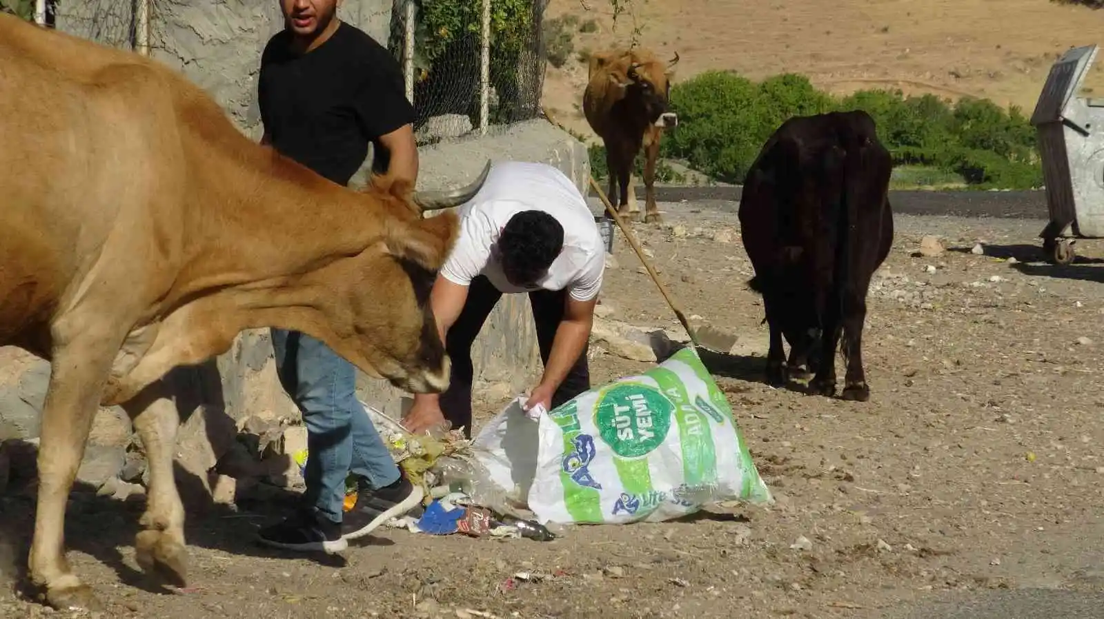 Gercüş’te gönüllü gençler çevre temizliği yaptı
