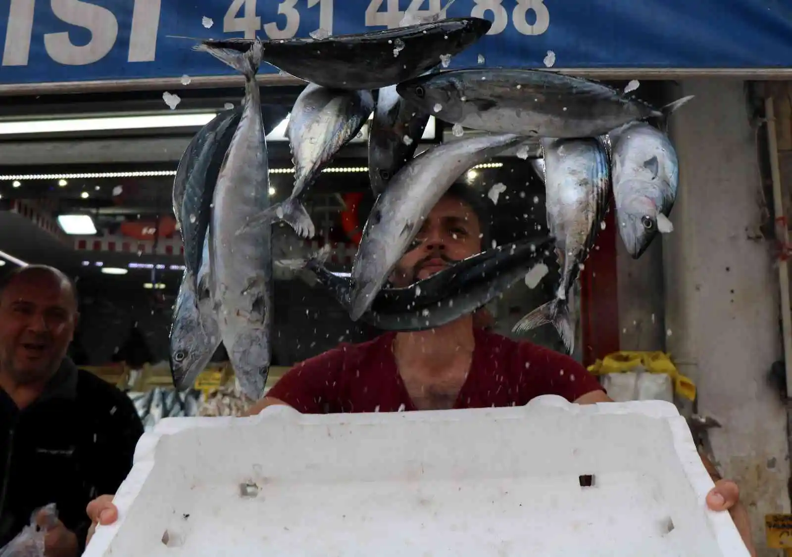 Karadeniz'de balık patlaması