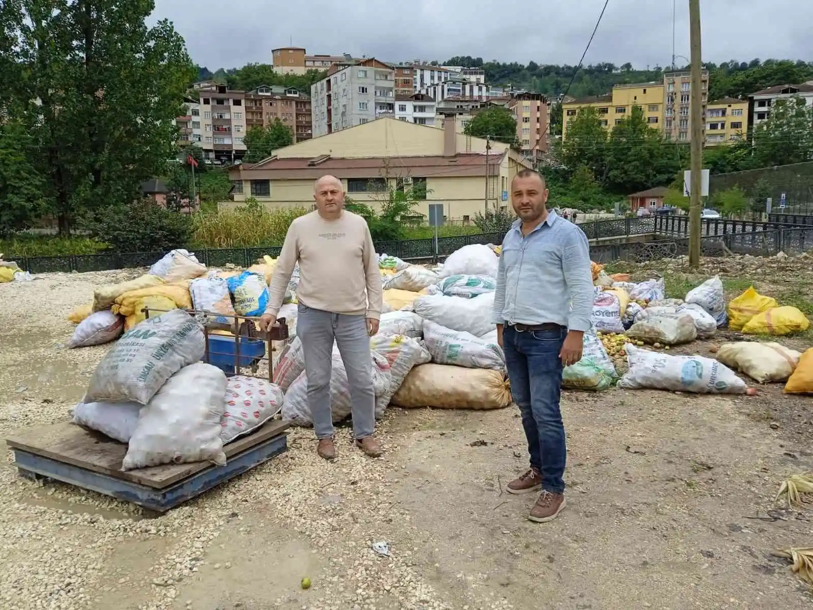 Ordu'da toptan elma alımları sürüyor