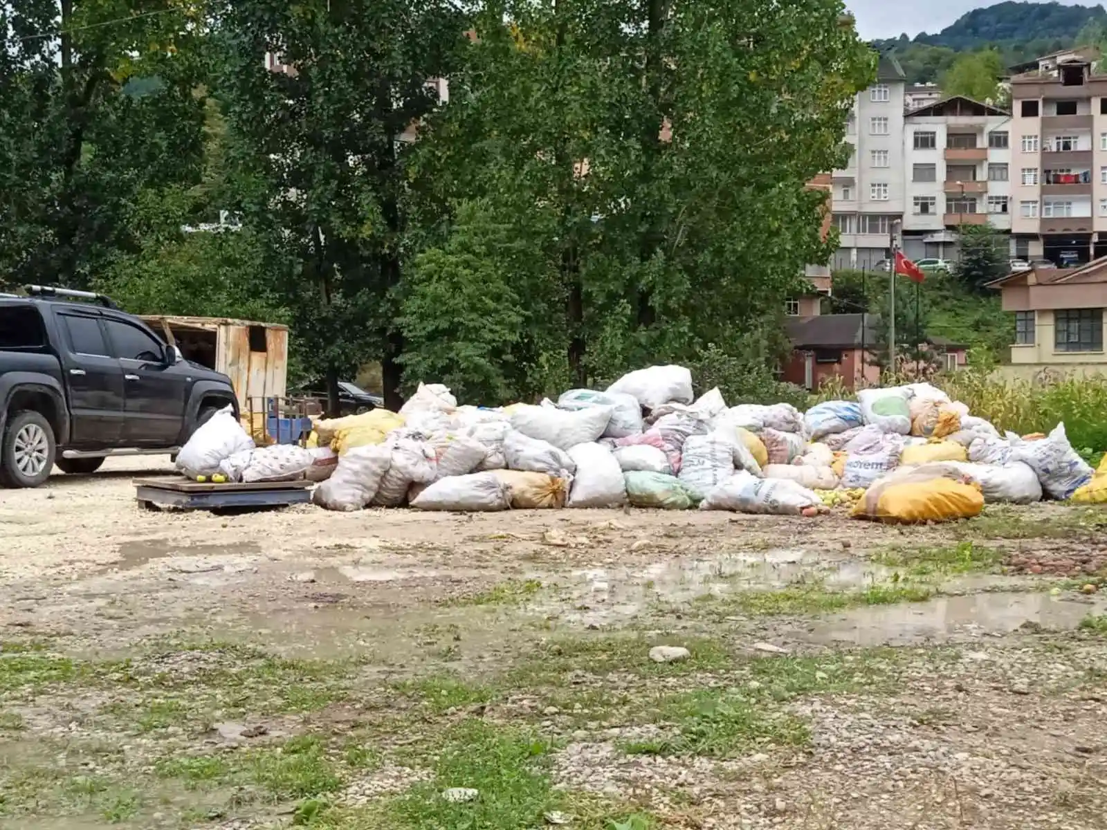 Ordu’da toptan elma alımları sürüyor
