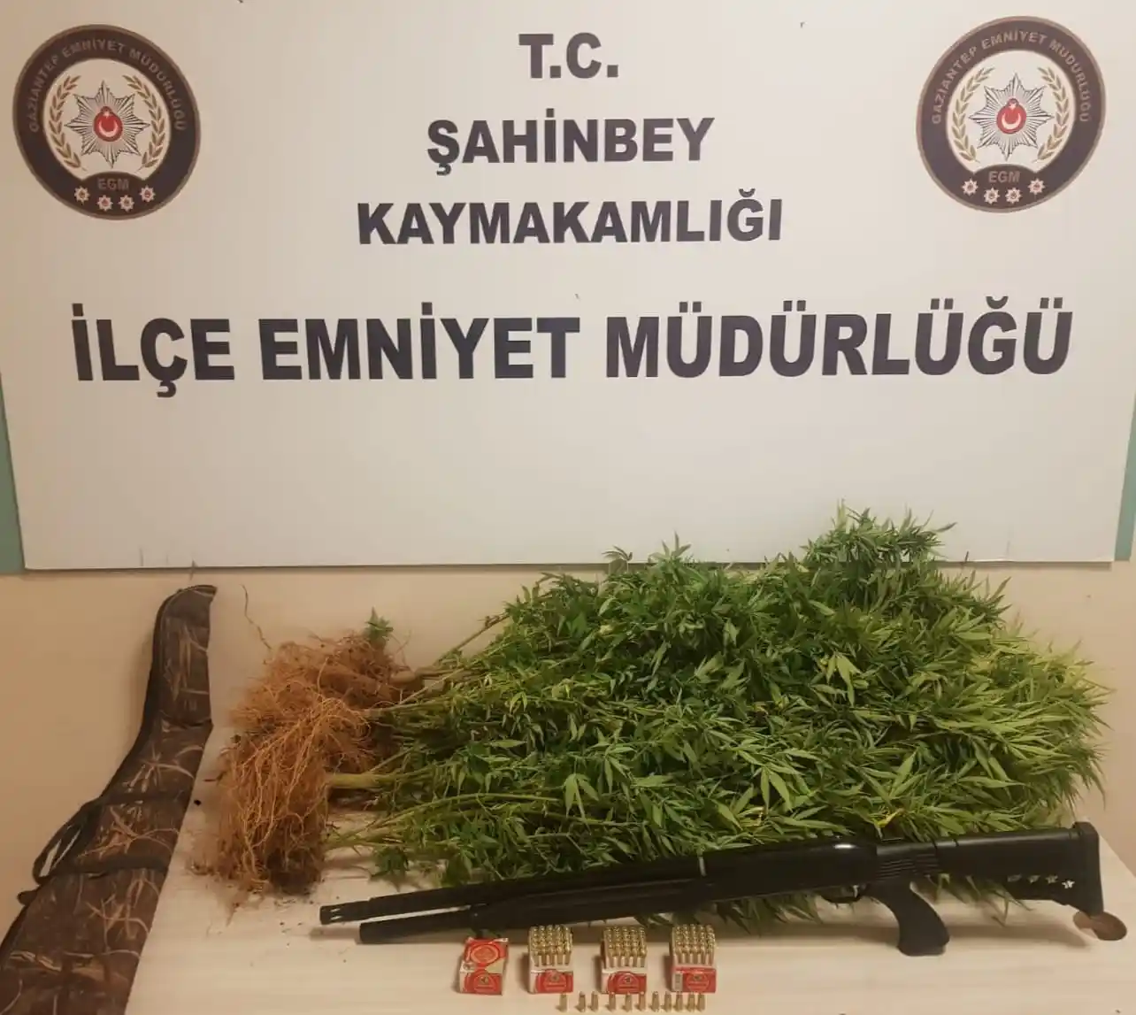 Saksıda uyuşturucuya polis darbesi
