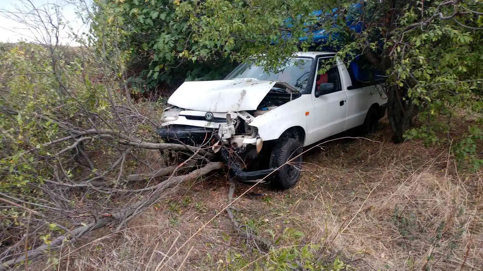 Virajı alamayan araç ağaçlık alana uçtu, sürücü kayıplara karıştı
