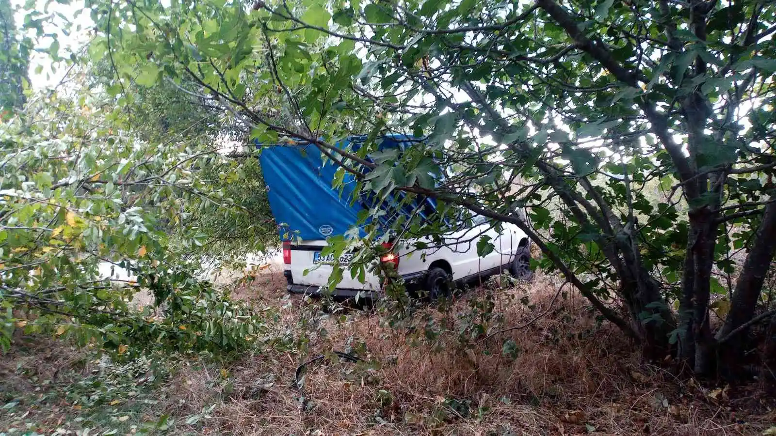 Virajı alamayan araç ağaçlık alana uçtu, sürücü kayıplara karıştı
