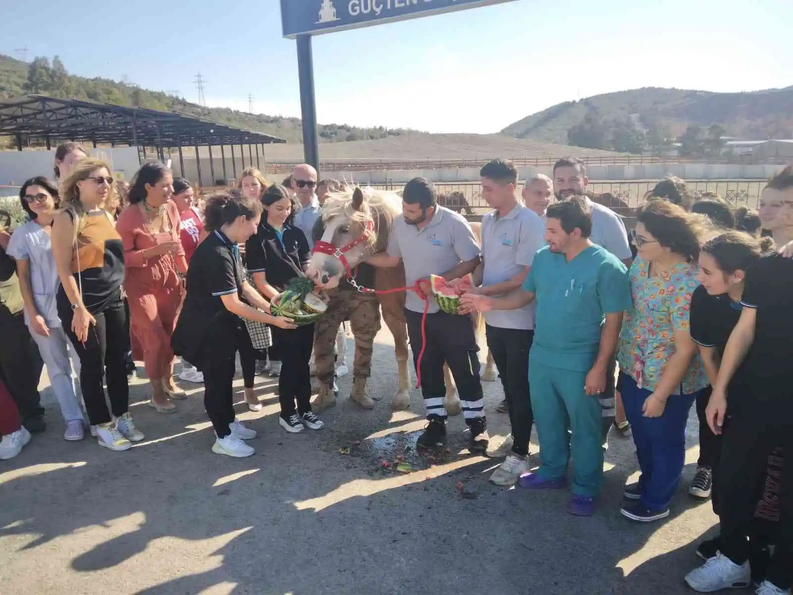 4 Ekim Hayvanları Koruma Günü Pako’da kutlandı
