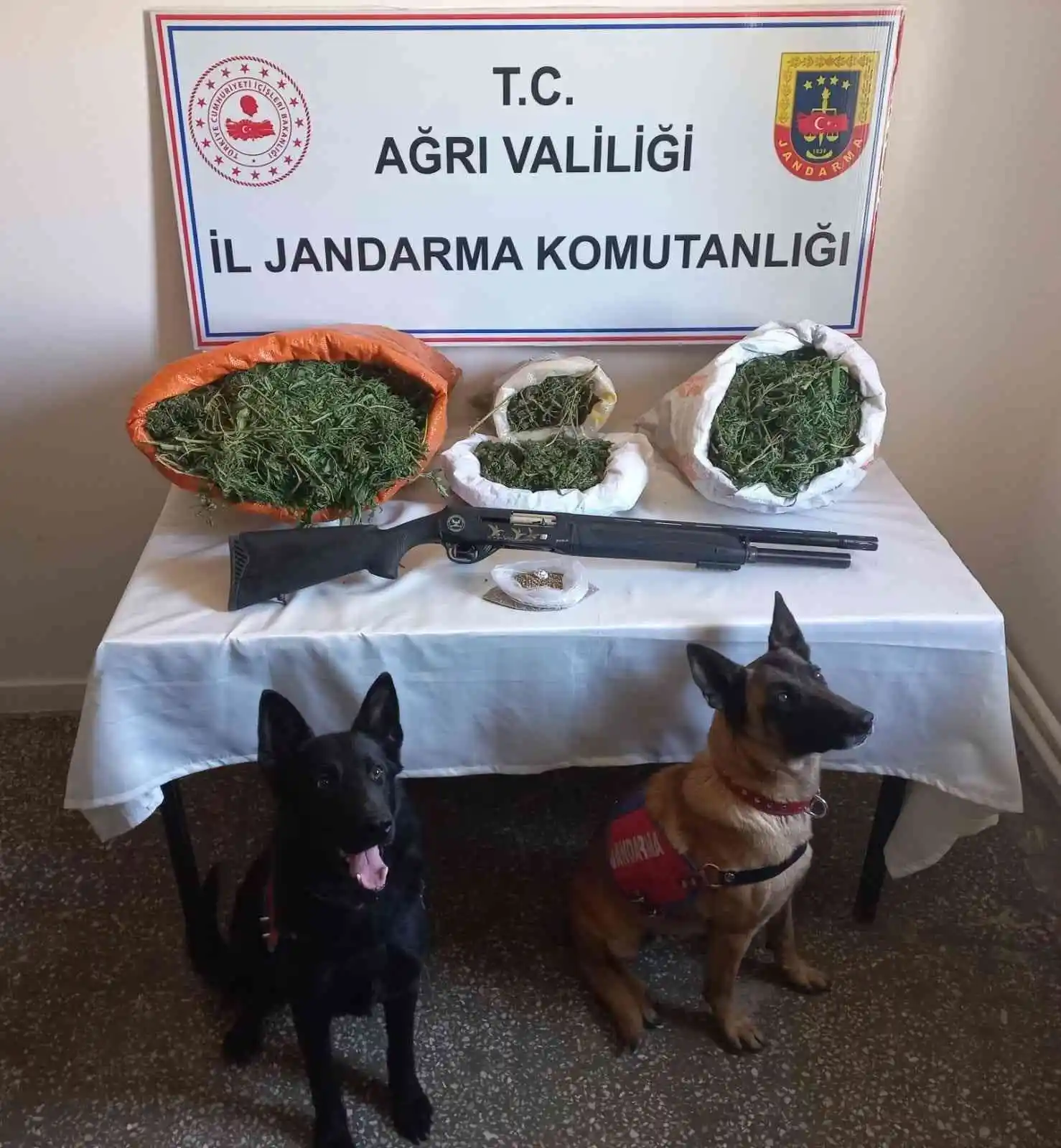 Ağrı'da 15 kilo esrar ele geçirildi