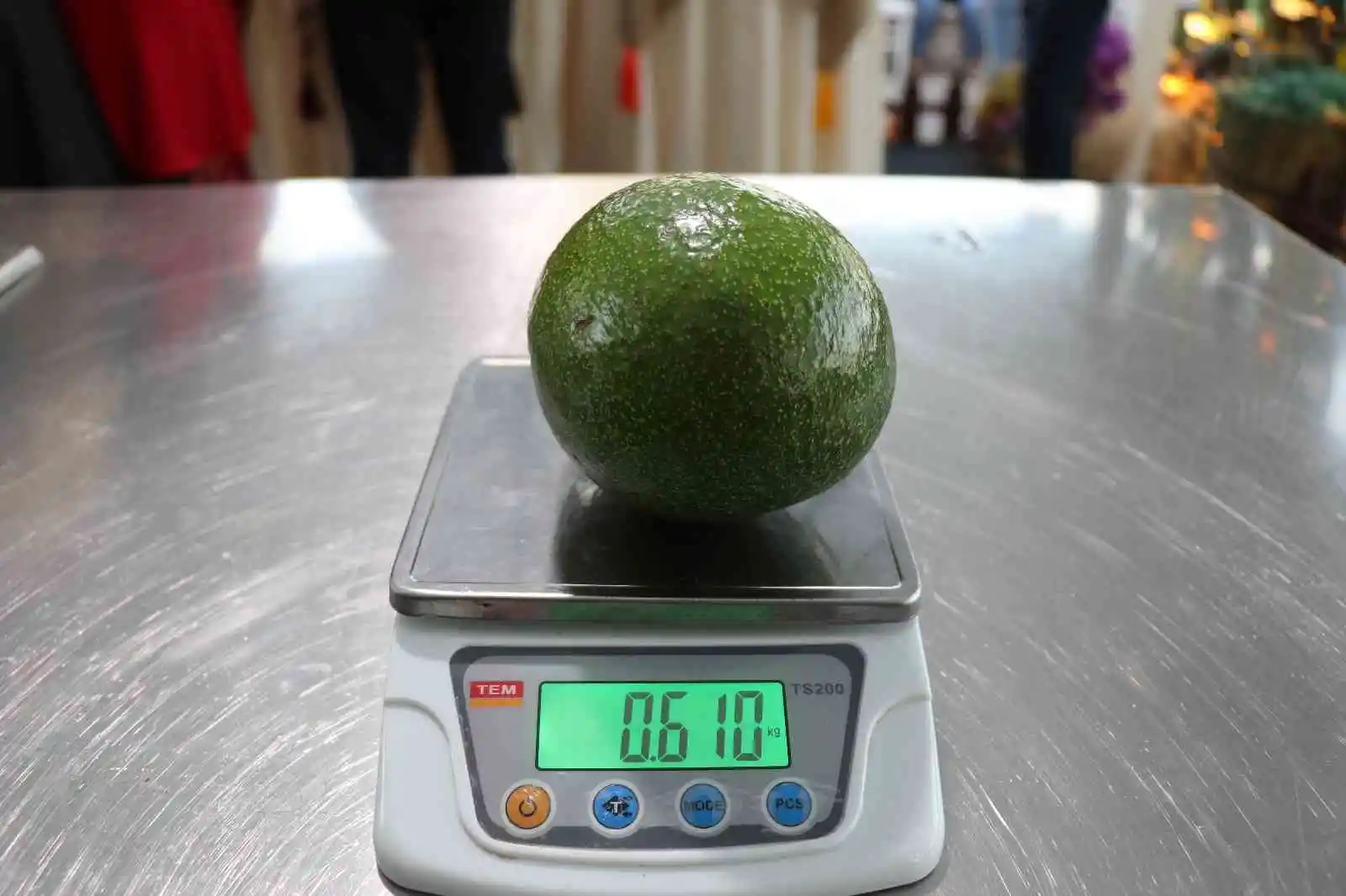 Alanya’nın en ağır avokadosu 610 gramla ödülü aldı