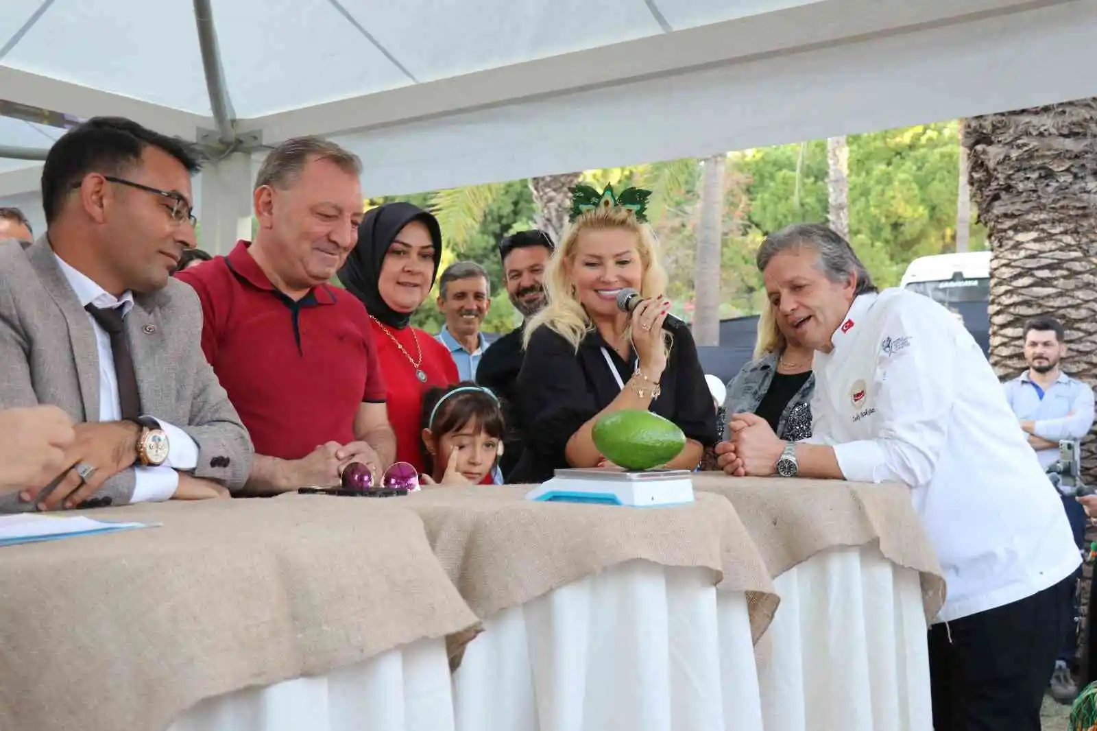 Alanya’nın en ağır avokadosu 610 gramla ödülü aldı