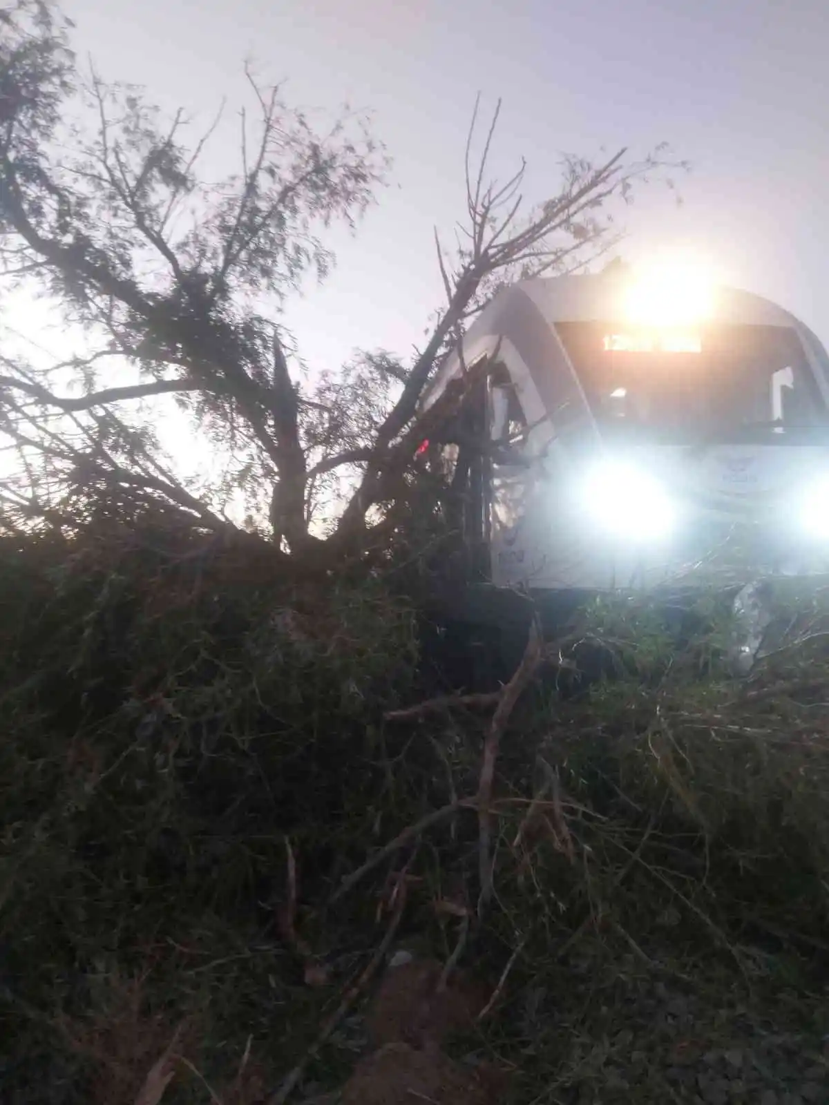 Alaşehir'de tren raylarına ağaç devrildi