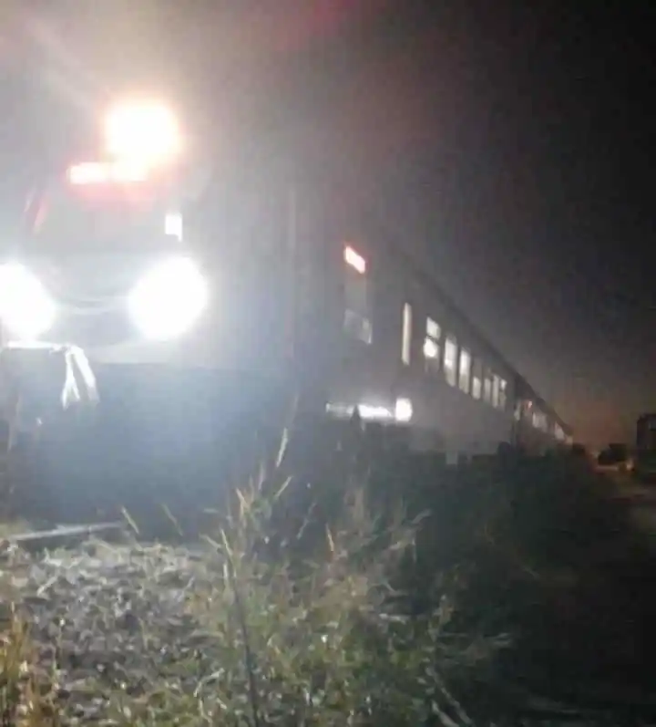 Alaşehir’de tren raylarına ağaç devrildi