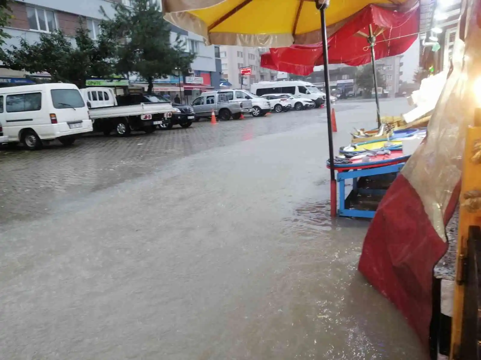 Arhavi’de şiddetli yağmur su taşkınlarına neden oldu