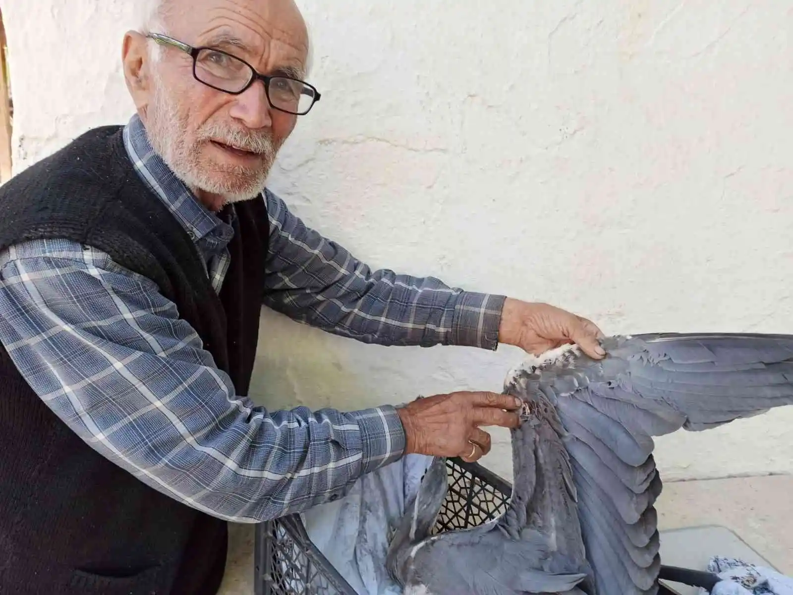 Avcıların vurduğu turnaya mahalleli sahip çıktı