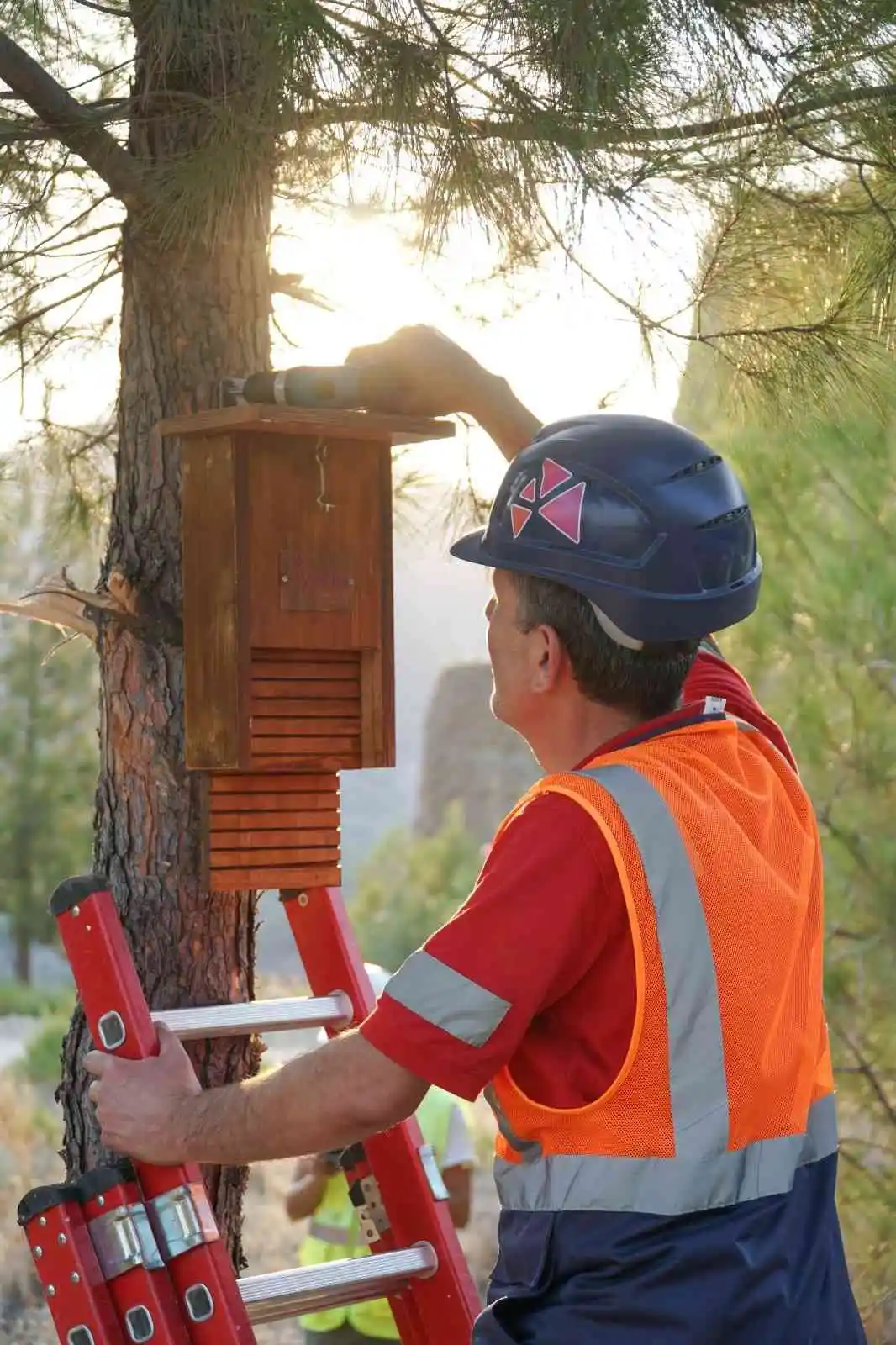 Aydem Yenilenebilir Enerji’den biyoçeşitliliğin devamı için sürdürülebilir projeler
