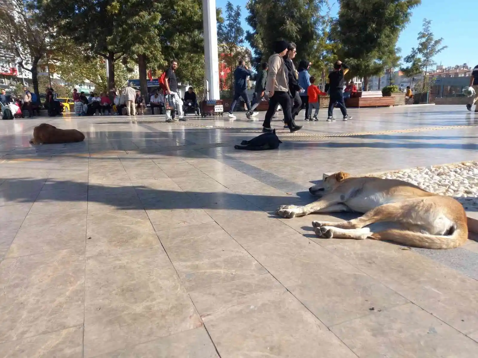 Aydın’da yaz devam ediyor