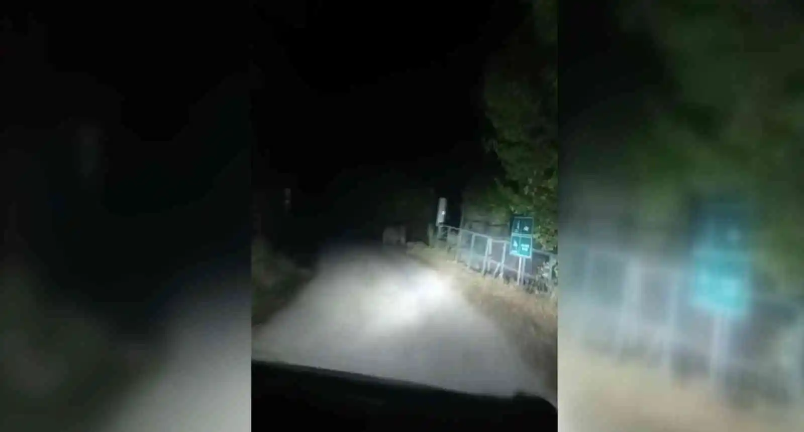 Ayılar köyün içinde otomobilin ışığıyla süratle koştu