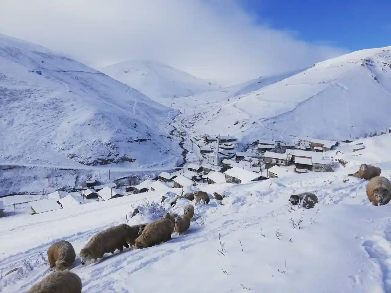 Bayburt ve Erzincan’ın yüksek kesimlerine kar yağdı