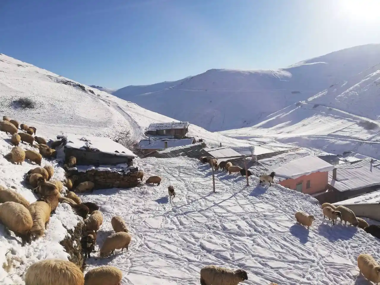 Bayburt ve Erzincan’ın yüksek kesimlerine kar yağdı