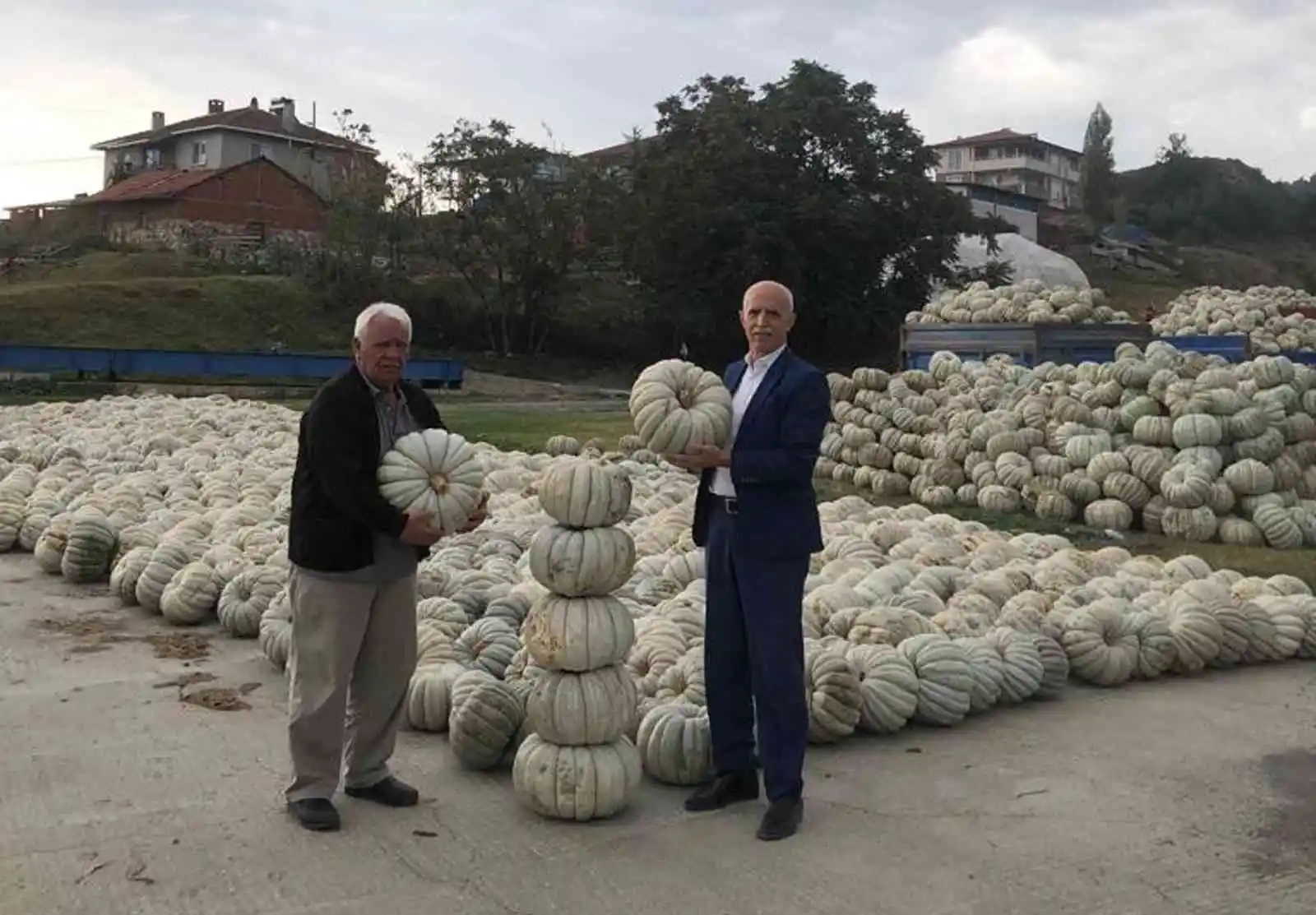 Bilecik'te kışlık kabakların hasadı yapıldı
