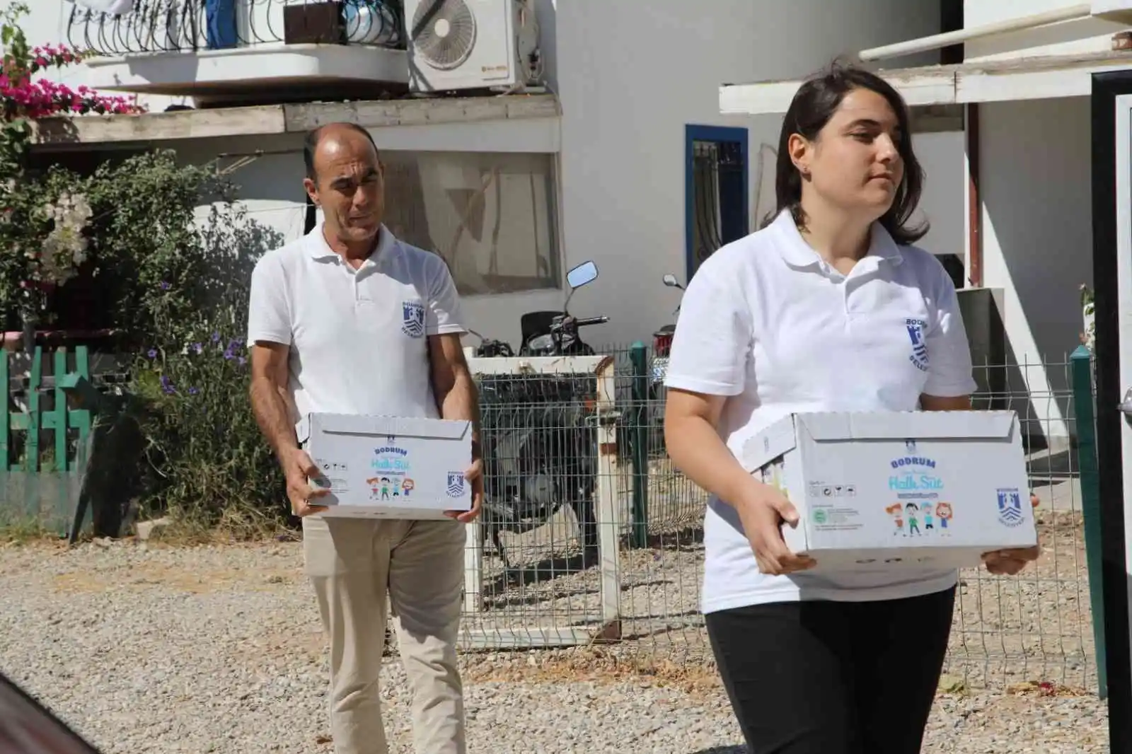 Bodrum Halk Süt’ün dağıtımı sürüyor
