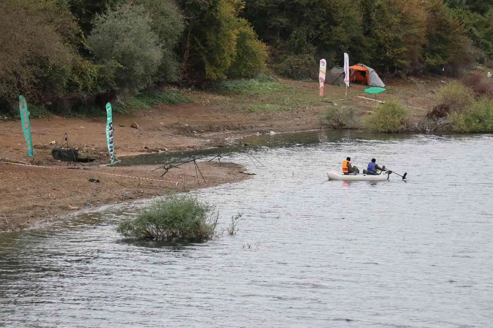 Bolu'da balık ölümleri sazan yakalama yarışını sonlandırdı