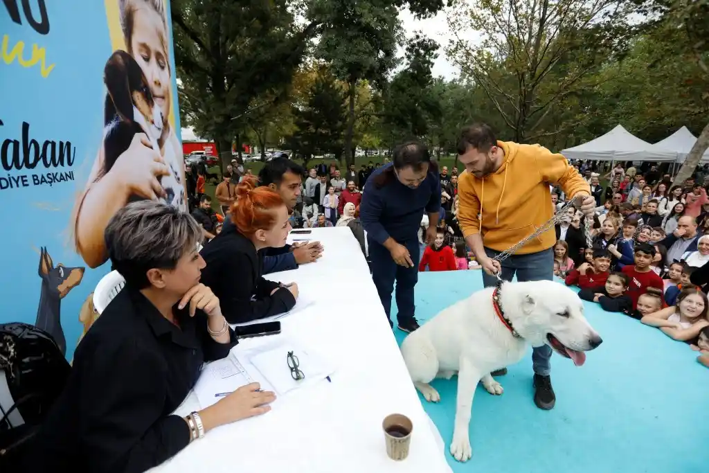 Bursa’da kedi ve köpekler podyumu süsledi
