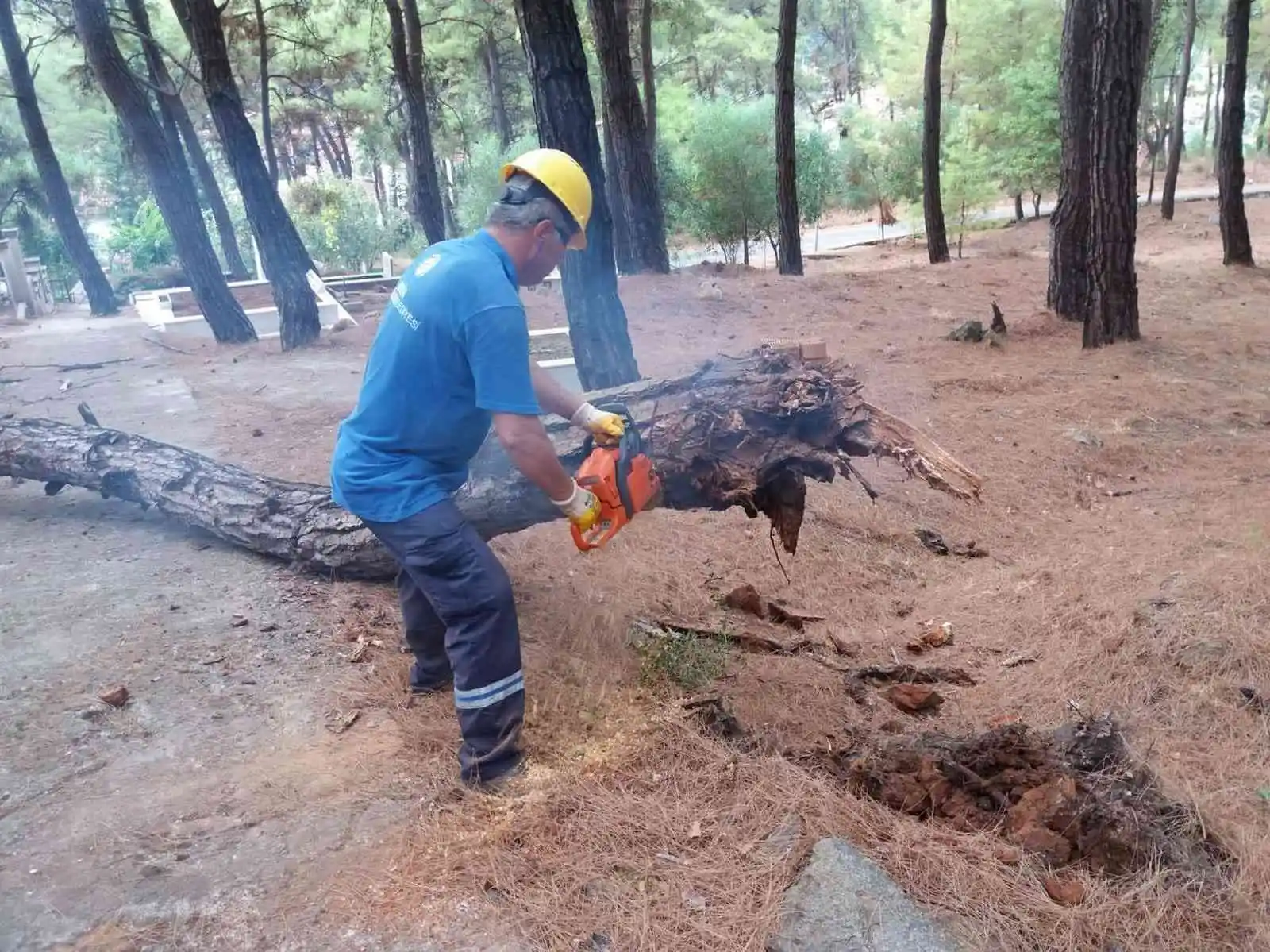 Büyükşehir’den vatandaşlara yakacak desteği