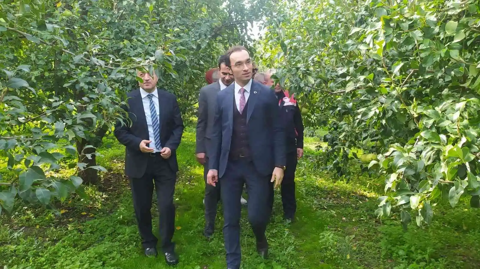 Çaycuma'da 'Deveci Armudu Hasat Şenliği' gerçekleşti