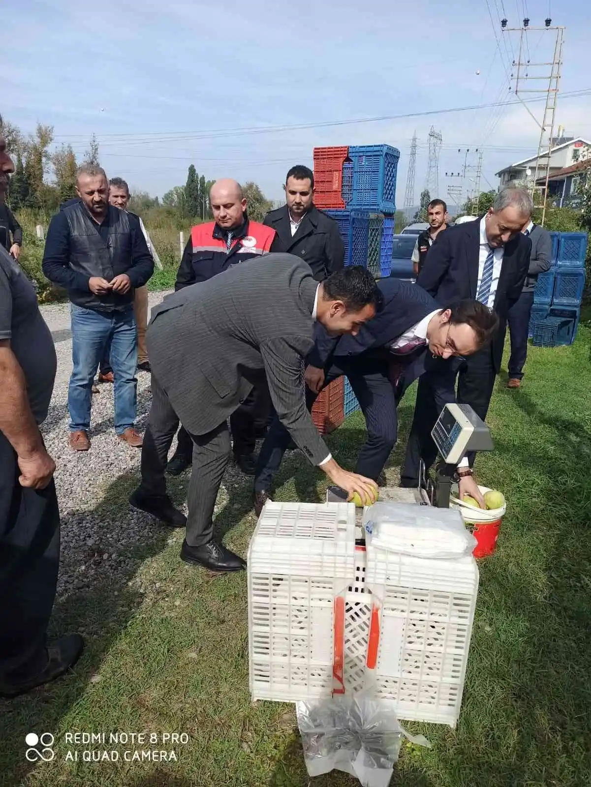 Çaycuma’da ‘Deveci Armudu Hasat Şenliği’ gerçekleşti