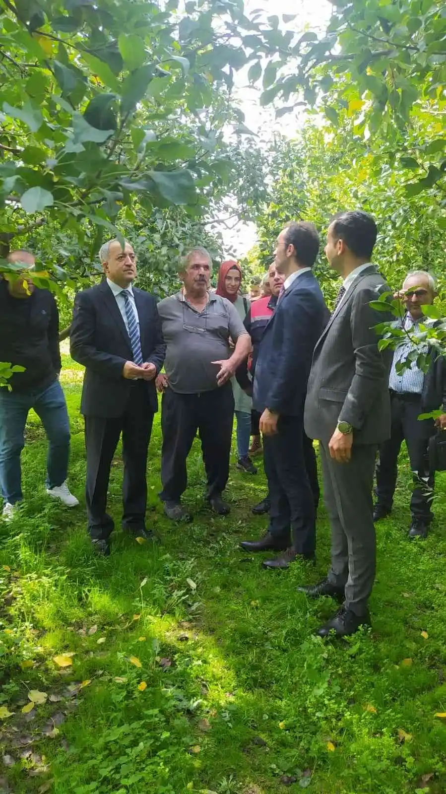 Çaycuma’da ‘Deveci Armudu Hasat Şenliği’ gerçekleşti