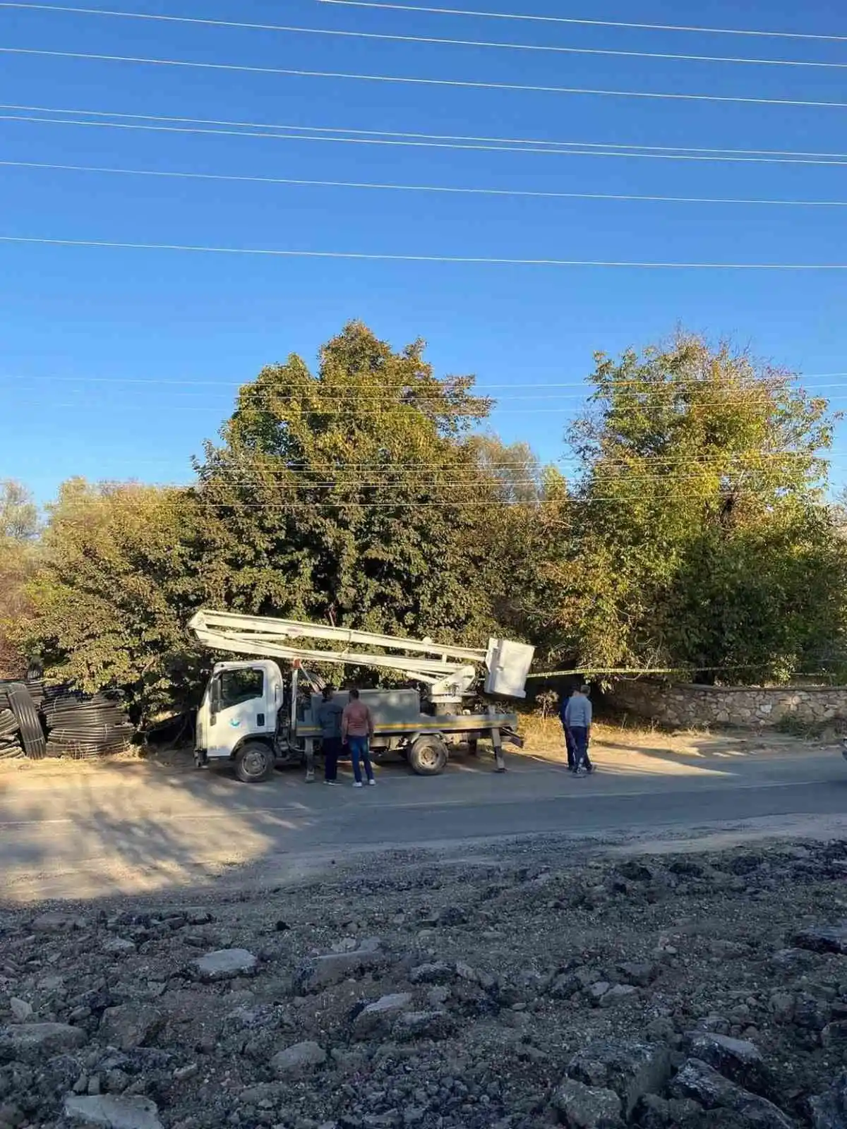 Ceviz toplarken elektrik akımına kapılan şahıs hayatını kaybetti
