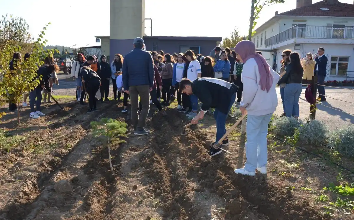 Cumhuriyet Bayramı nedeniyle lale dikimi etkinliği gerçekleşti