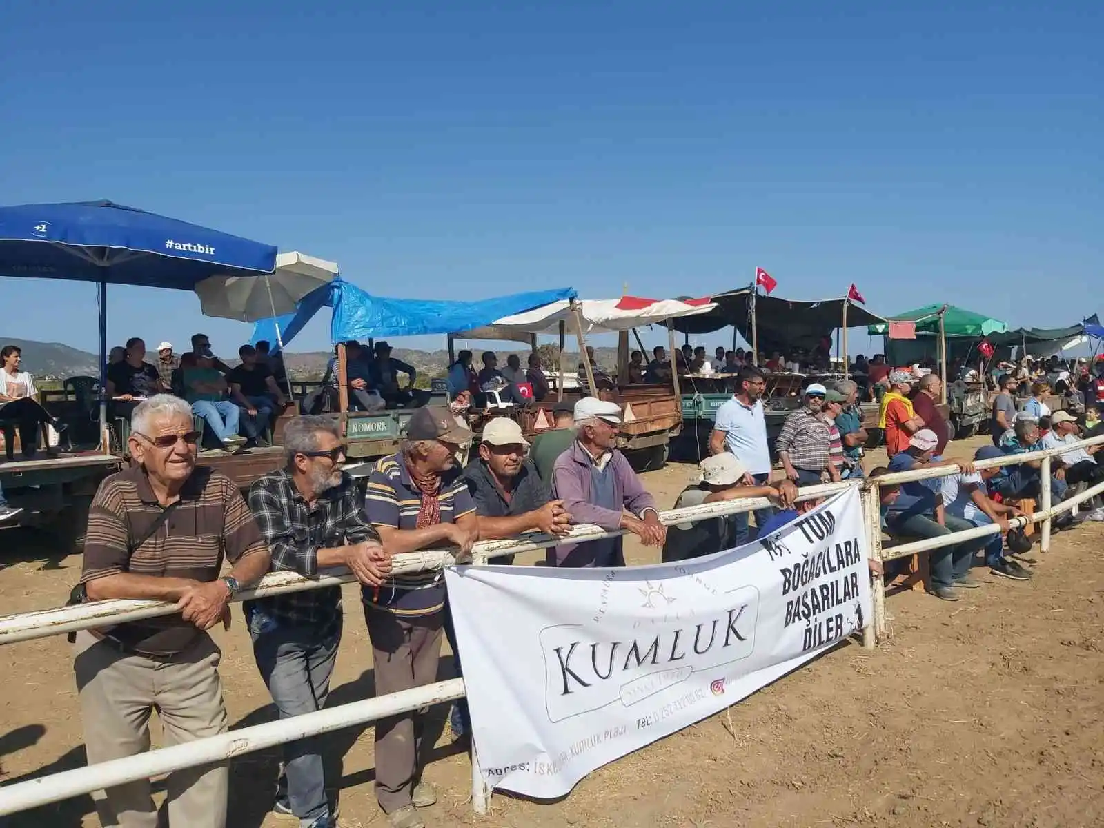 Datça’da boğa güreşleri nefes kesti
