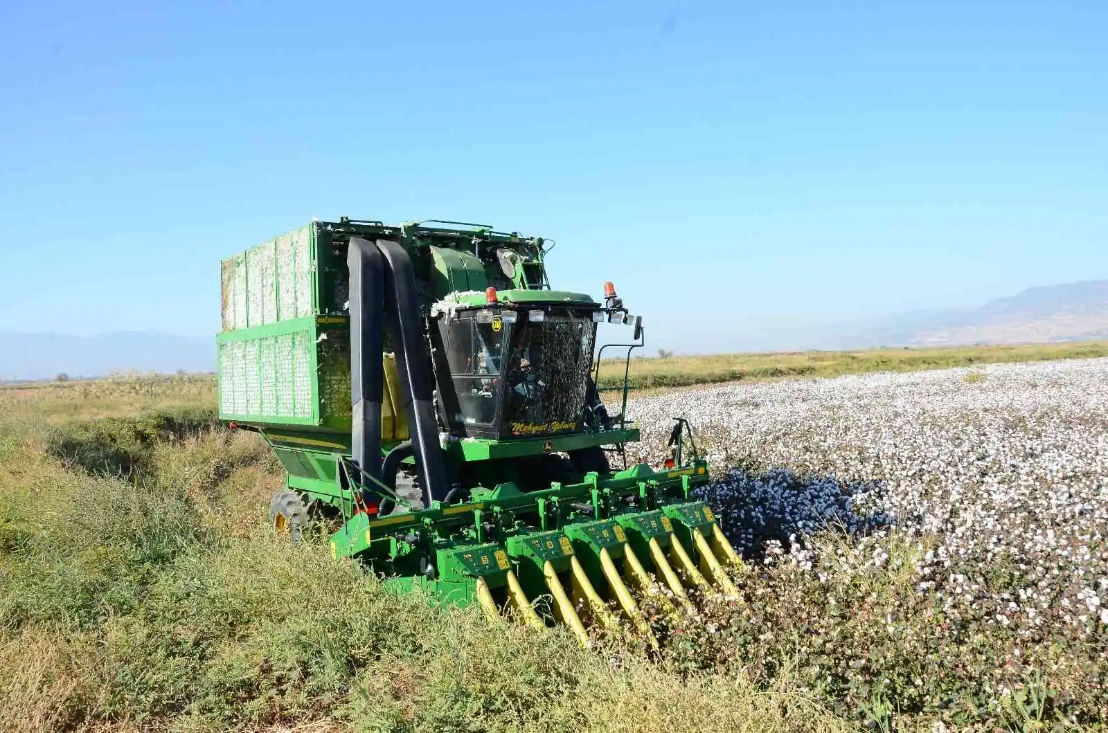 Denizli’de beyaz altın hasadı devam ediyor
