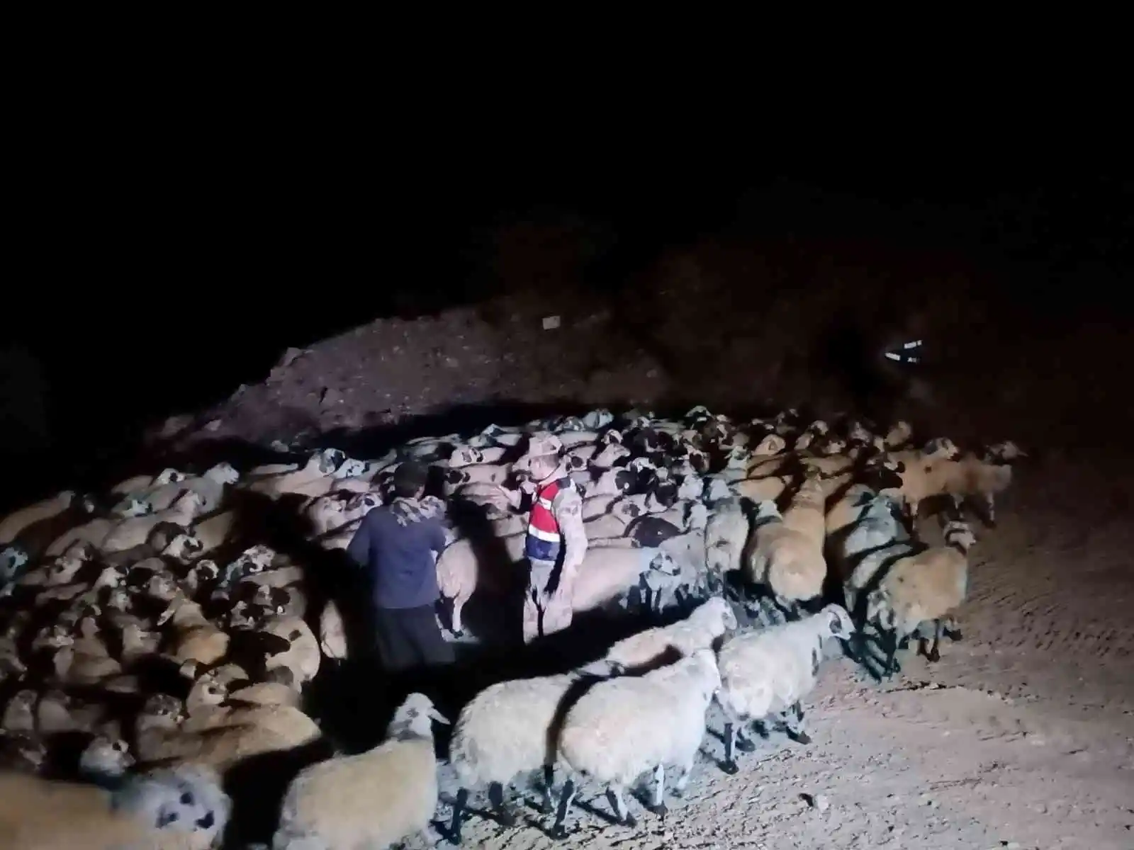 Elazığ'da jandarma kaybolan hayvanları dron ile buldu