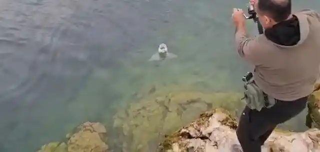 Elazığlı balıkçılar, olta ile 1.5 metrelik balık tuttu