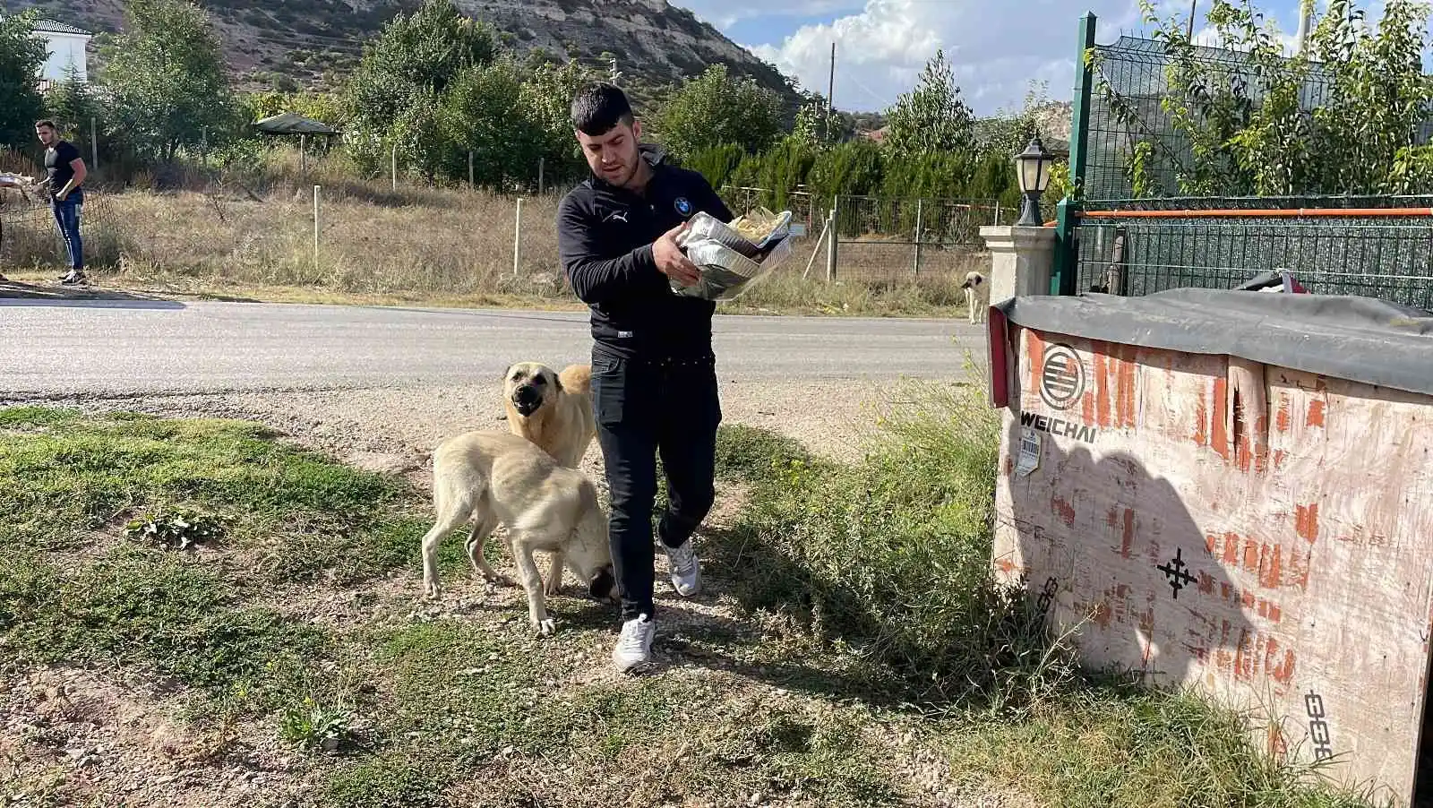 Eskişehirli firmadan sokak hayvanlarına özel gün yemeği
