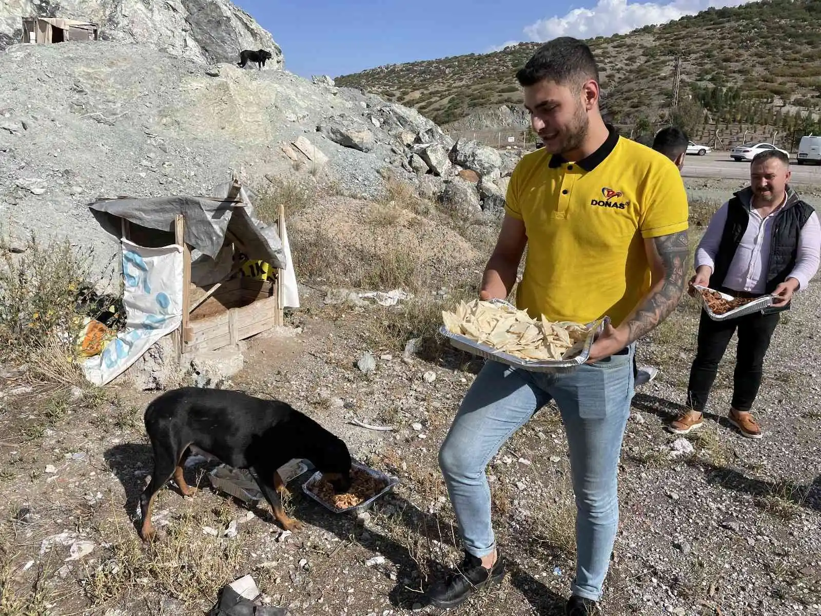 Eskişehirli firmadan sokak hayvanlarına özel gün yemeği
